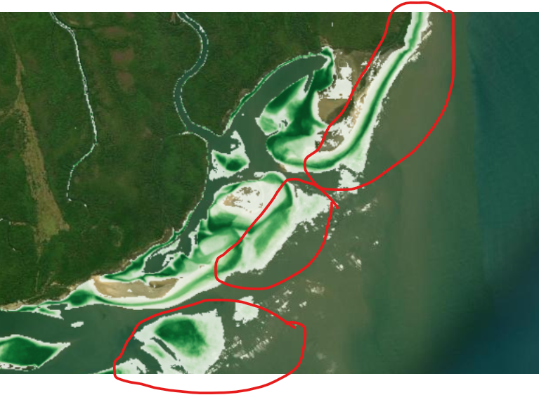 Mangrove viability index map